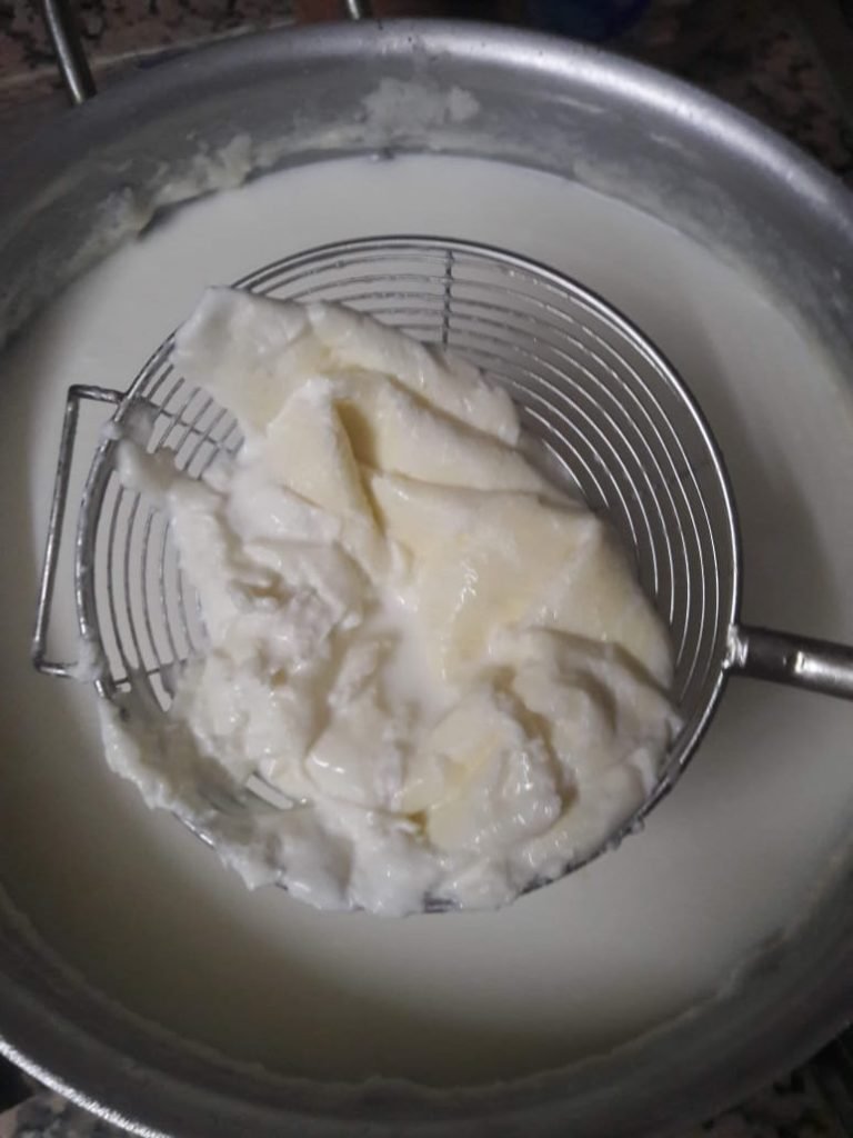 How to make fresh cream from milk malai using fresh full-fat cow and buffalo milk”