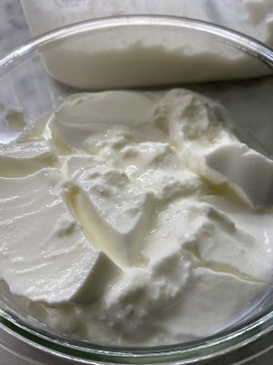 Buffalo Yoghurt