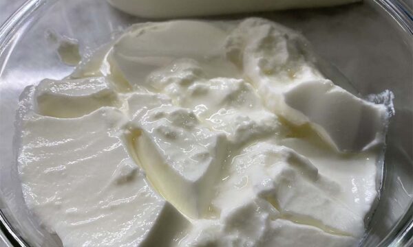 Buffalo milk Yoghurt / Curd