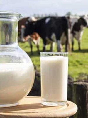 Buy Pure Organic Milk in abu dhabi