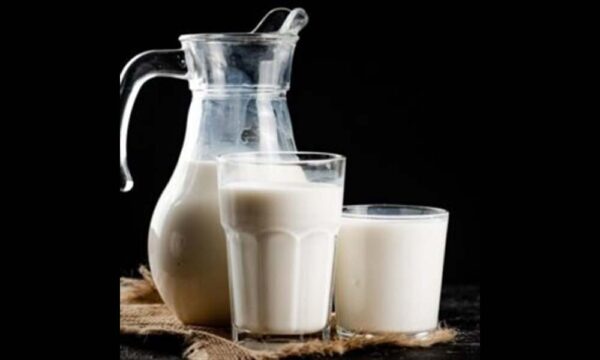 Organic Cow Low Fat Milk / Skimmed Milk