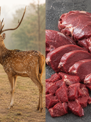 Premium Deer Meat