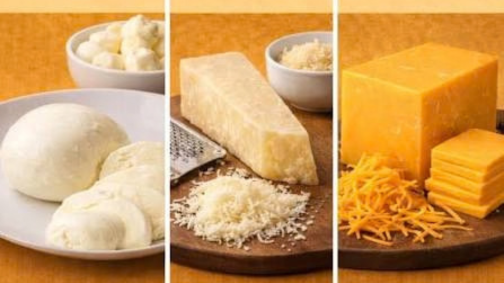 ozzarella vs cheddar cheese for pizza with fresh cheese and paneer in UAE