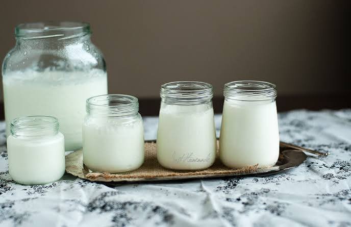 Which milk is best for making yogurt at home